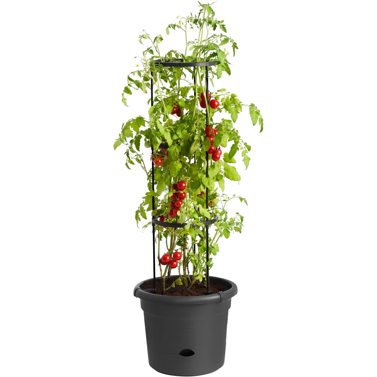 blumenstnder mit beleuchtung SunBloom Solar Blumenstnder Lampe | LED Pflanzentopf Beleuchtung