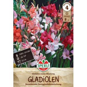 Verpackung Sperli Gladiolen Nanus Mischung mit Zwerggladiolen in rot, rosa und weiß.