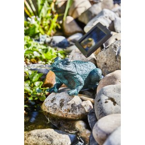 Heissner Frosch Solar Teichfigur Set mit Pumpe auf Steinen im Gartenteich.