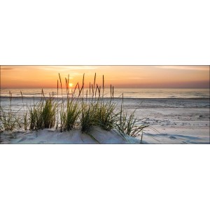 Glasbild Lonely Dune, 50x125 cm: Düne mit Strandhafer im Sonnenuntergang.