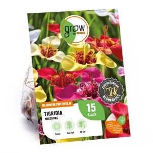 Verpackung GROW by OBI Tigridia Mischung Blumenzwiebeln mit bunten Tigridia Blüten.