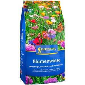 Kiepenkerl Blumenwiese Rasensaat, 1kg Packung mit bunter Blumenmischung.
