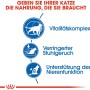 Royal Canin Indoor 7+ Katzentrockenfutter: Grafische Darstellung der Produktvorteile.