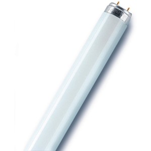 Osram Leuchtstofflampe, 16W G13 Röhre, warmweißes Licht für Wohnräume.