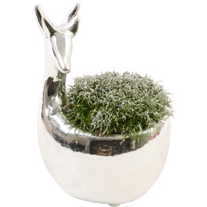 Ziergras im Keramik-Gefäß Topf-Ø ca. 6 cm