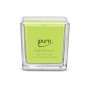ipuro ESSENTIALS Lime Light Duftkerze (125g) im transparenten Glas.