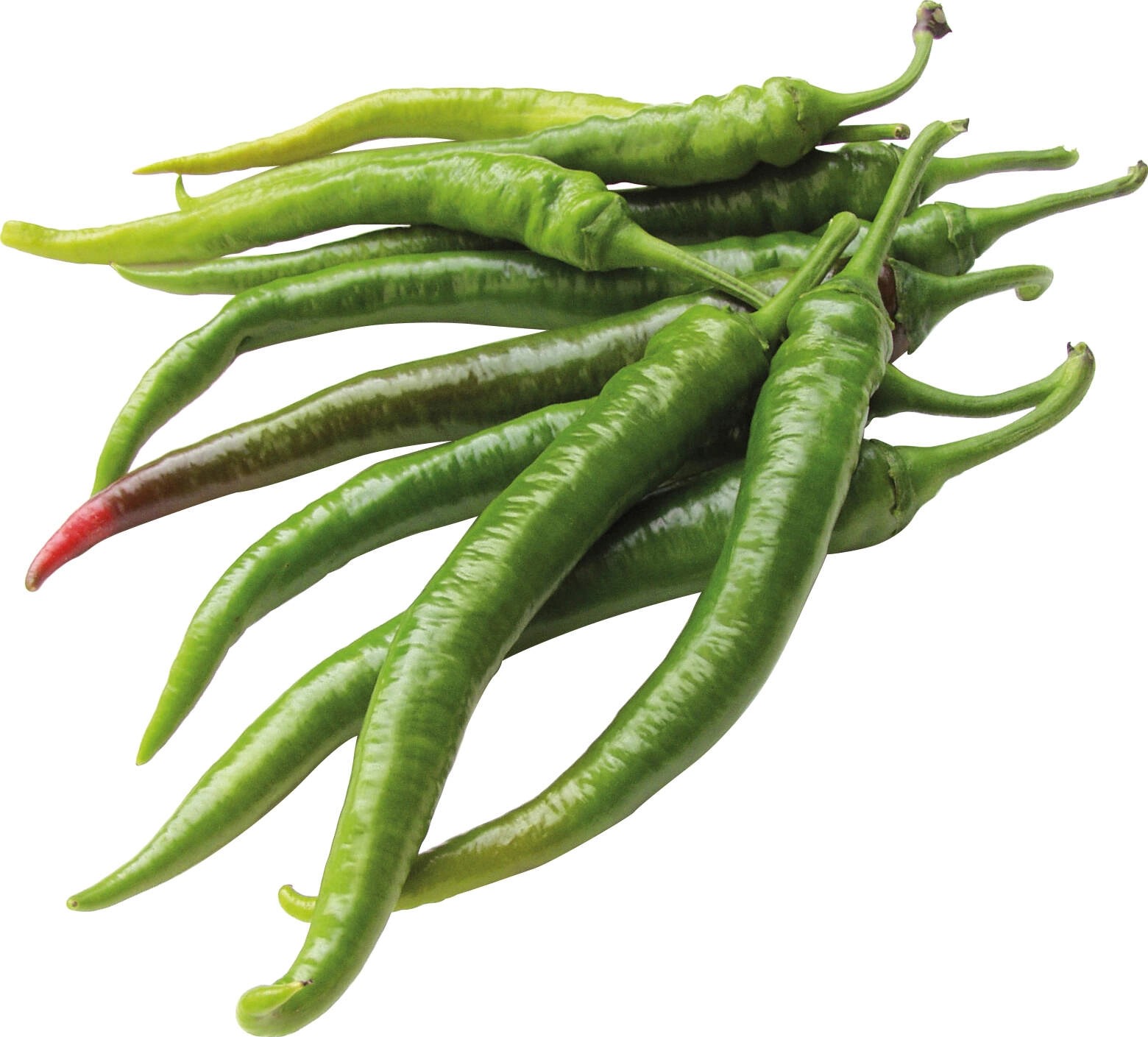 Grow by OBI Peperoni Mild TopfØ ca. 10,5 cm "Capsicum annuum" kaufen