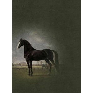 Fototapete Gemälde Fresco Pferd Schwarz Grün 2,00 m x 2,70 m FSC®