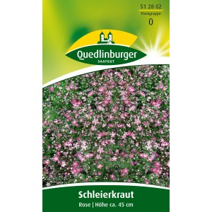 Quedlinburger Schleierkraut Rose Blumensamen für Beet und Strauß, rosa Blüten.