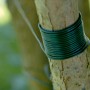 Dunkelgrünes Kunststoff-Bindeband (25m) um einen Baumstamm gewickelt.