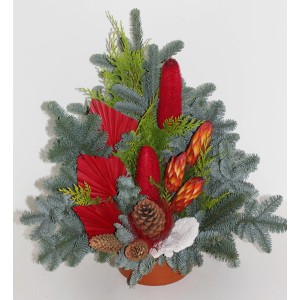 Rote Grabschale Nobilis, ca. 20 cm, mit Tanne, Koniferen, Zapfen und trendiger Deko für Gedenktage.