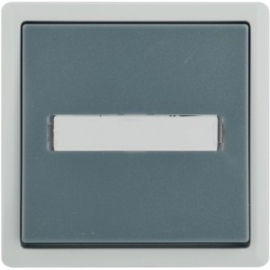 Feuchtraum-Wechselschalter Vario21, hellgrau-grau, senkrecht, IP44.