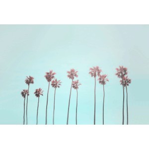 Fototapete Palmen Türkis Rot 4,00 m x 2,70 m FSC®