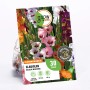 Verpackung GROW by OBI Gladiolen Bicolor Mischung, Blumenzwiebeln mit farbenfrohen Blüten.