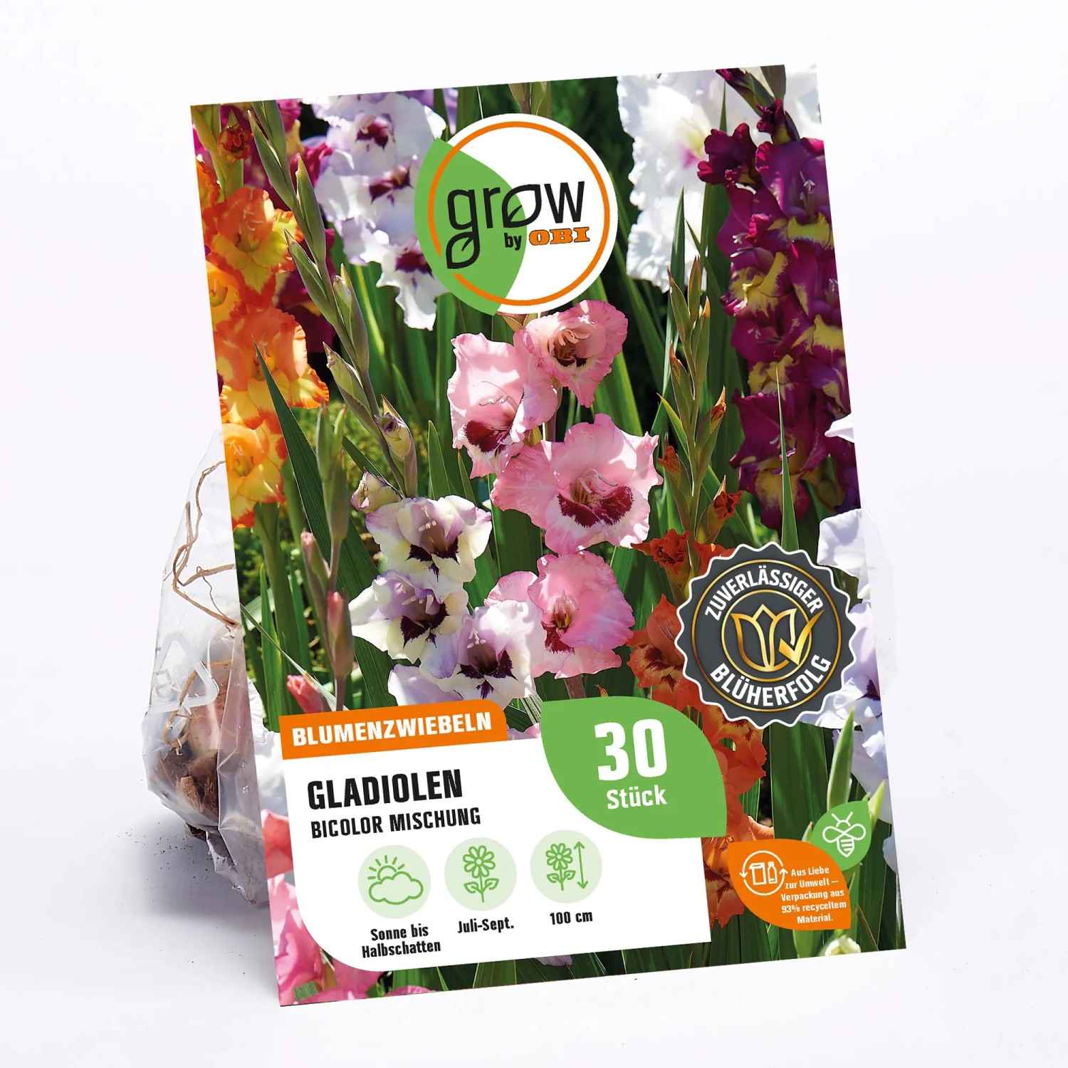 Verpackung GROW by OBI Gladiolen Bicolor Mischung, Blumenzwiebeln mit farbenfrohen Blüten.