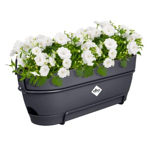 Anthrazitfarbener Elho Balkonkasten Vibia Campana 50 cm mit weißen Blumen.