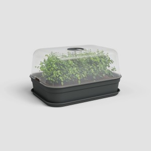 Artevasi Anzucht-Haube Madagascar M transparent mit Pflanzen, für die Pflanzenanzucht.