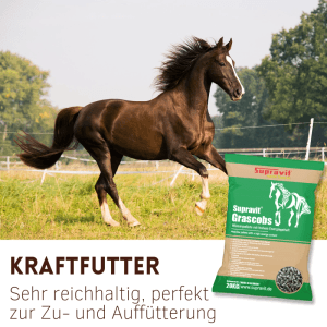 Braunes Pferd galoppiert auf Wiese neben Sack Supravit Grascobs Heupellets. Pferdefutter für Vitalität & Kraft.