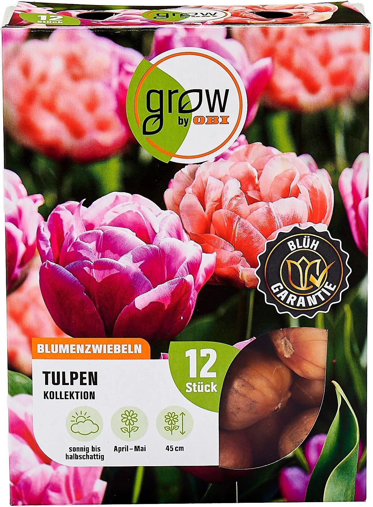 10 Blumenzwiebeln 'Rotkäppchen' Botanische Tulpen – Winterhart, Rot, Für Beete & Kästen