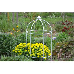 Feuerverzinkte Eleo Pflanzenstütze Arezzo (95 cm) im Garten mit gelben Blumen.