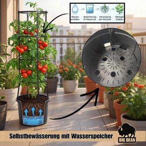 BigDean 1 Stück Tomatentopf XL ca 40cm und 154cm Hoch Stabil Made in Europa