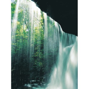 Wasserfall mit Ubbink Cascademax Teichpumpe im Betrieb, grüne Umgebung.
