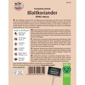 Samenpackung Sperli Blattkoriander Marino. Aromatisches Würzkraut für exotische Gerichte.