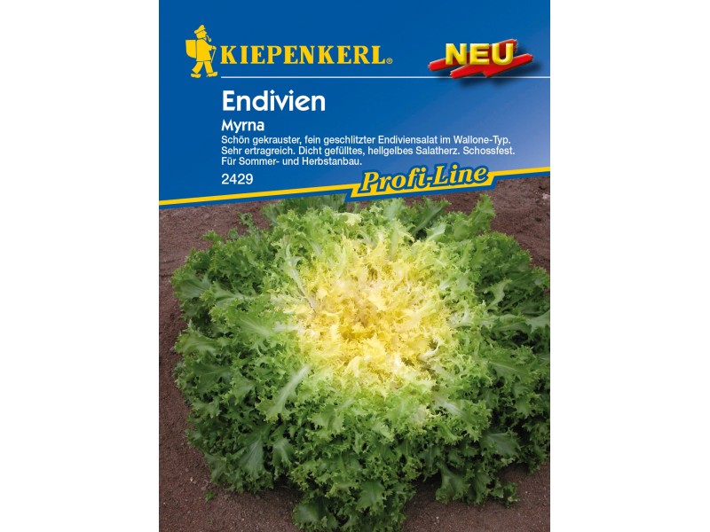Kiepenkerl Endivien "Myrna" kaufen bei OBI