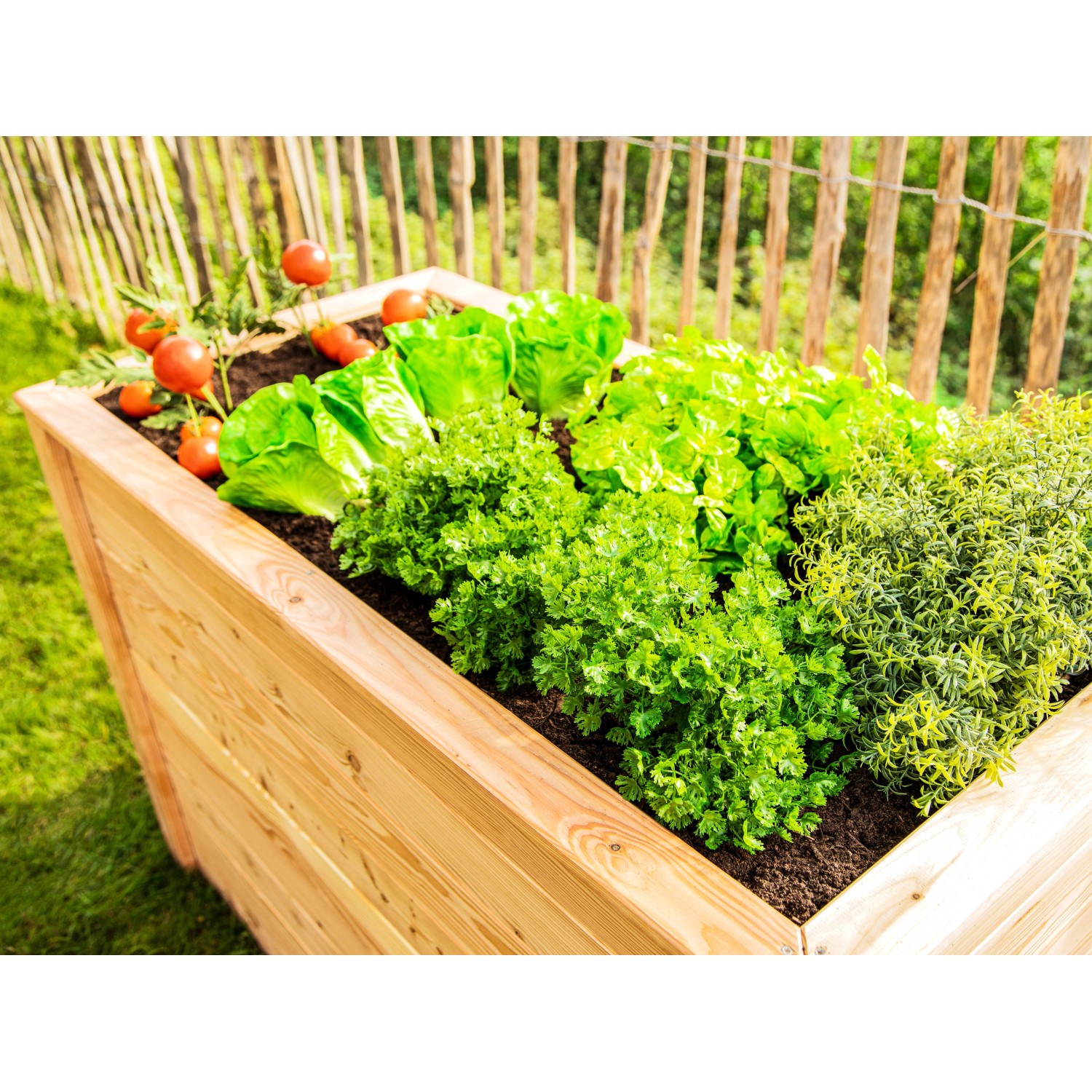 Westmann Hochbeet aus Lärche, bepflanzt mit Salat, Kräutern und Tomaten.