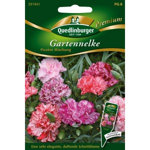 Samenpackung Quedlinburger Gartennelke 'Picotee Mischung' mit zweifarbigen Blüten.