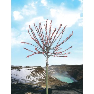 OBI Riesen-Salweide "Mount Aso" Rosa Höhe ca. 80 cm Topf ca. 5 l Salix