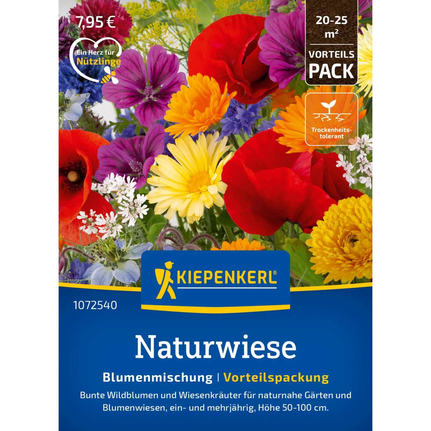 Kiepenkerl Saatgut Blumenmischung Naturwiese Vorteilspackung kaufen bei OBI