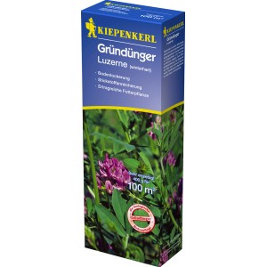 Kiepenkerl Gründünger Luzerne, 400g Packung mit blühender Luzerne. Zur Bodenverbesserung.