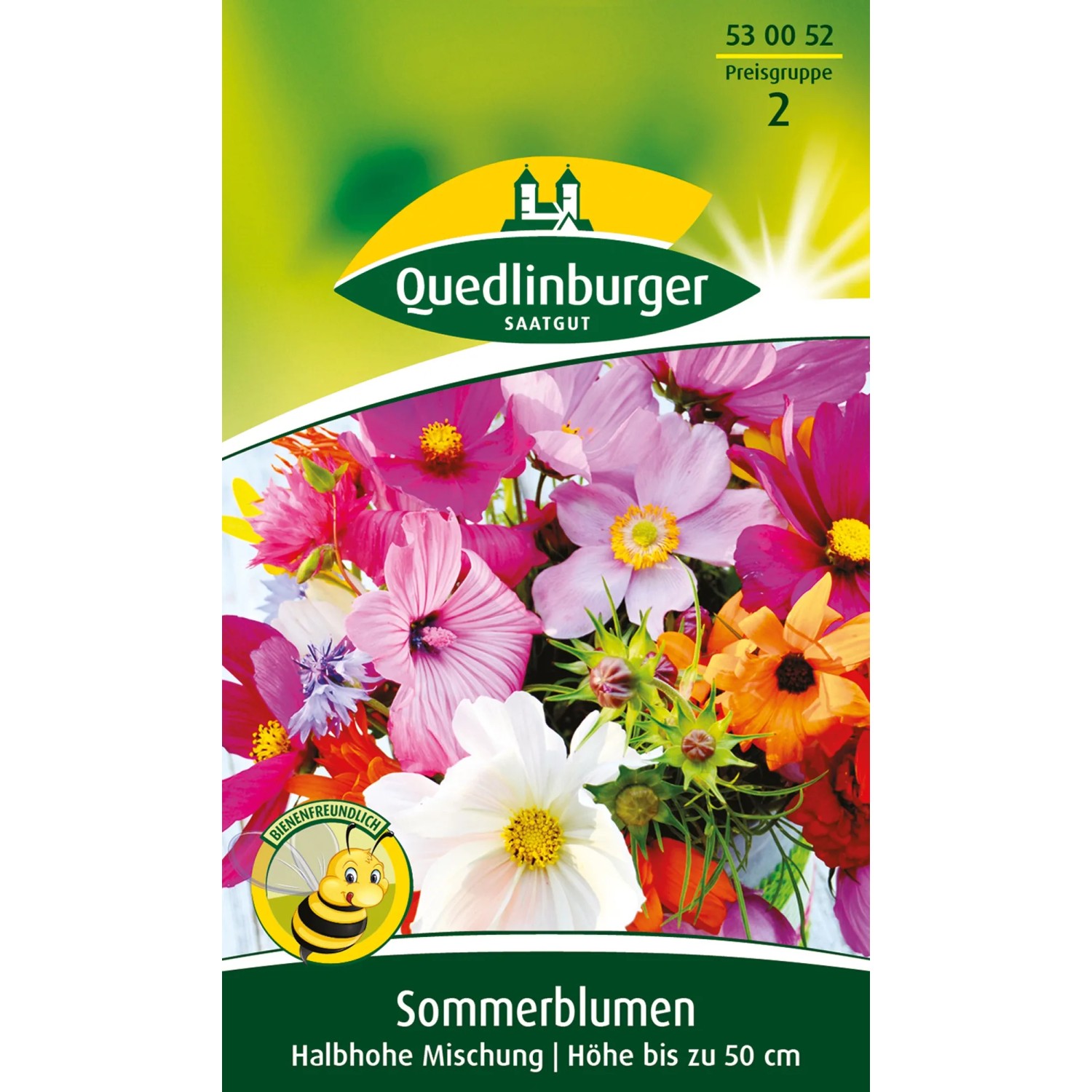 künstliche efeutute Kaufen Sie Efeutute - Epipremnum Aureum main image 1