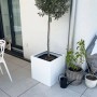 Weißer Vivanno Pflanzkübel Block (50x50x50 cm) mit Olivenbaum auf einer Terrasse.