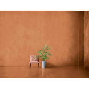 Raum mit Alpina Mineral Beton Effektfarbe in Terracotta, Stuhl und Pflanze.