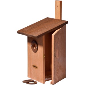 Dobar Beobachtungsnistkasten aus Holz mit drei Lochgrößen und geöffneter Tür.