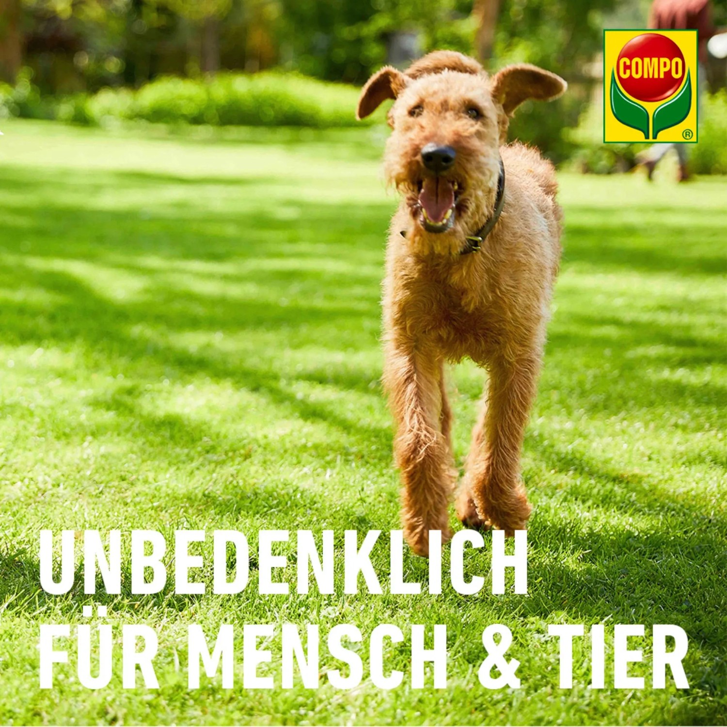 Compo Bio Organischer Gartendnger 5 kg kaufen bei OBI