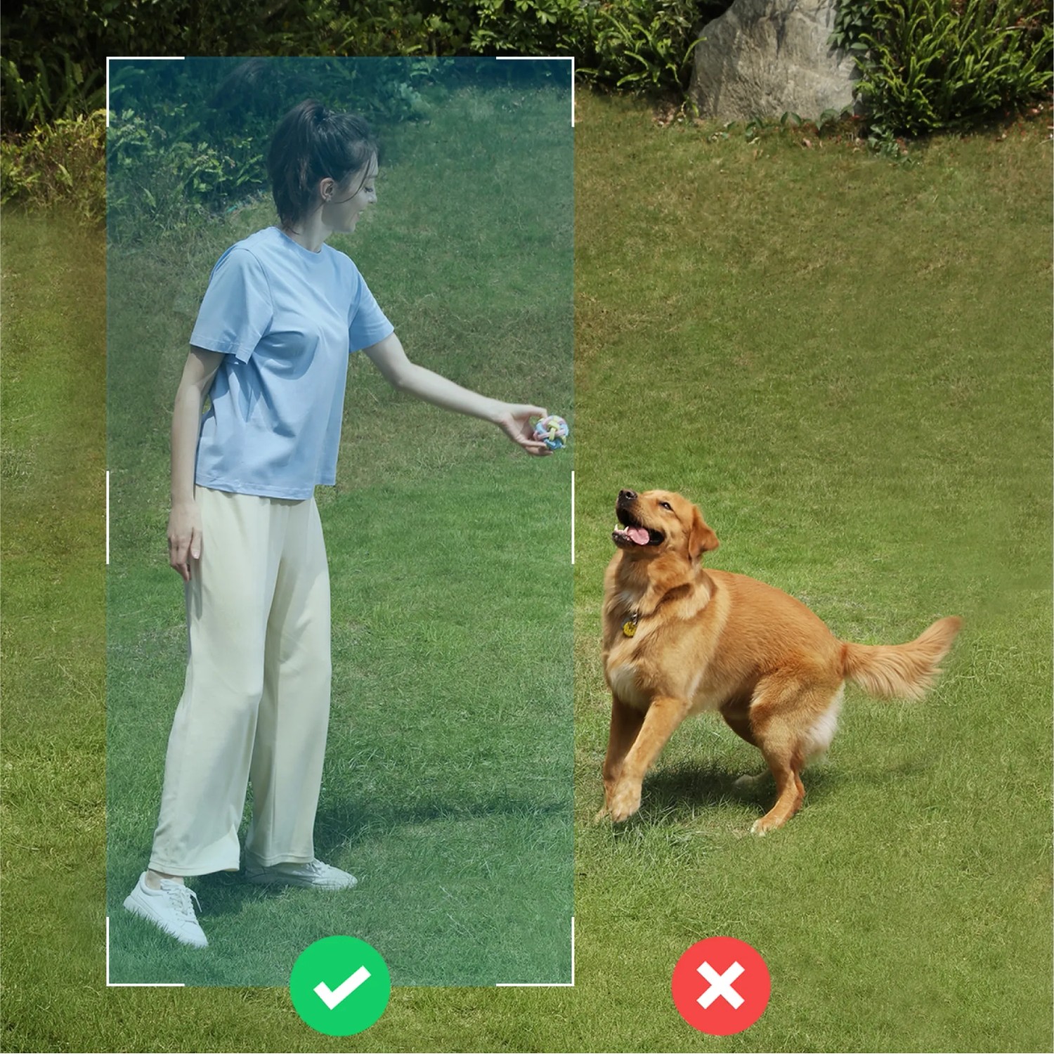 Eufy Solo S40 Überwachungskamera im Einsatz: Frau spielt mit Hund im Garten.