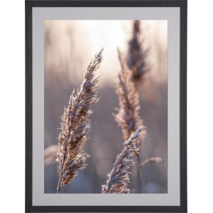 Schwarzer Holzbilderrahmen, 60x80 cm, mit breitem Profil und Gräser-Motiv.