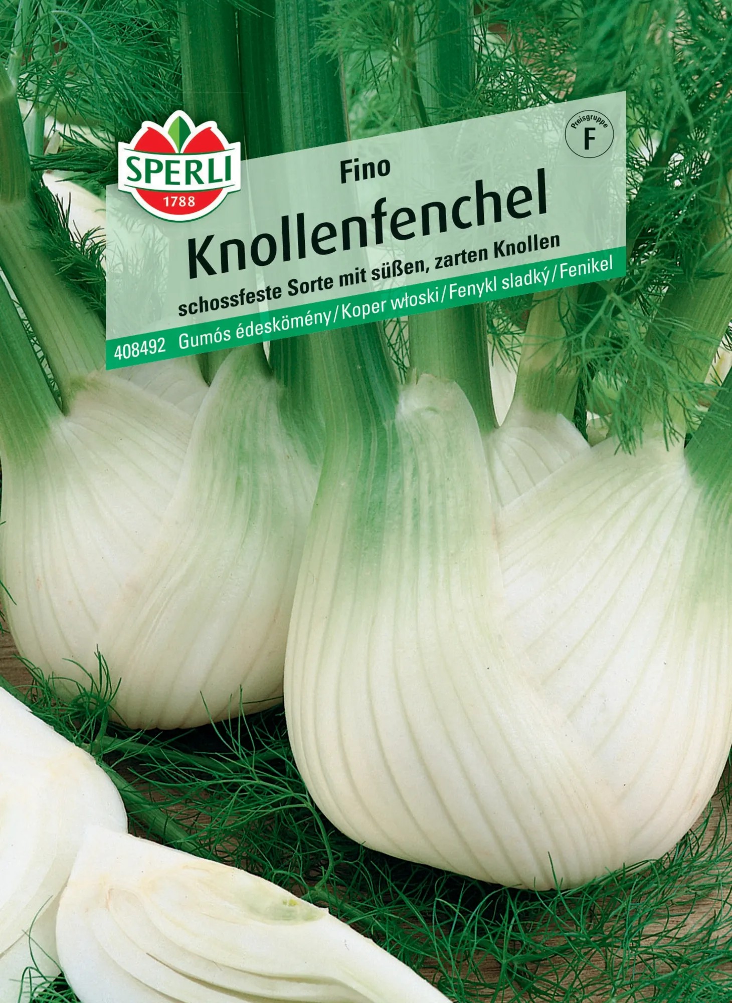 Knollenfenchel 'Fino' Saatgut – Schoßfester Fenchel Für Den Eigenen Anbau