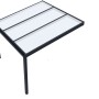 Terrassenüberdachung Professional, 300x350 cm, Schwarz, klare PC-Platten.