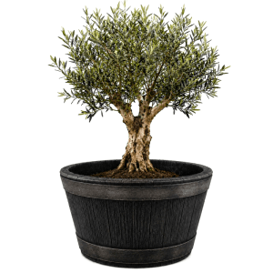 BigDean Weinfass XL Eichenfass Kunststoff Bottich Blumenkasten Trog Zuber Gartenteich Mini Teich Fass Nachbildung Durchmesser 63 cm Höhe 38 cm ca. 90