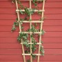 Trapezförmiges Rankgitter aus Holz, 150 cm hoch, mit grünen Pflanzen bewachsen.