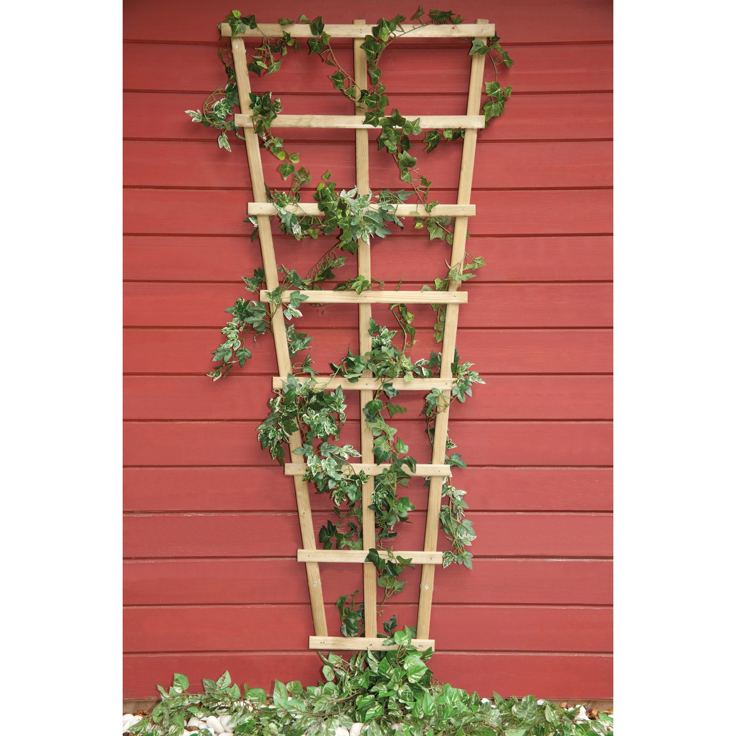 Trapezförmiges Rankgitter aus Holz, 150 cm hoch, mit grünen Pflanzen bewachsen.