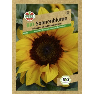 Samenpackung Sperli Bio Sonnenblume Gelb: Hochwachsende, gelbe Sonnenblume mit dunkler Mitte.