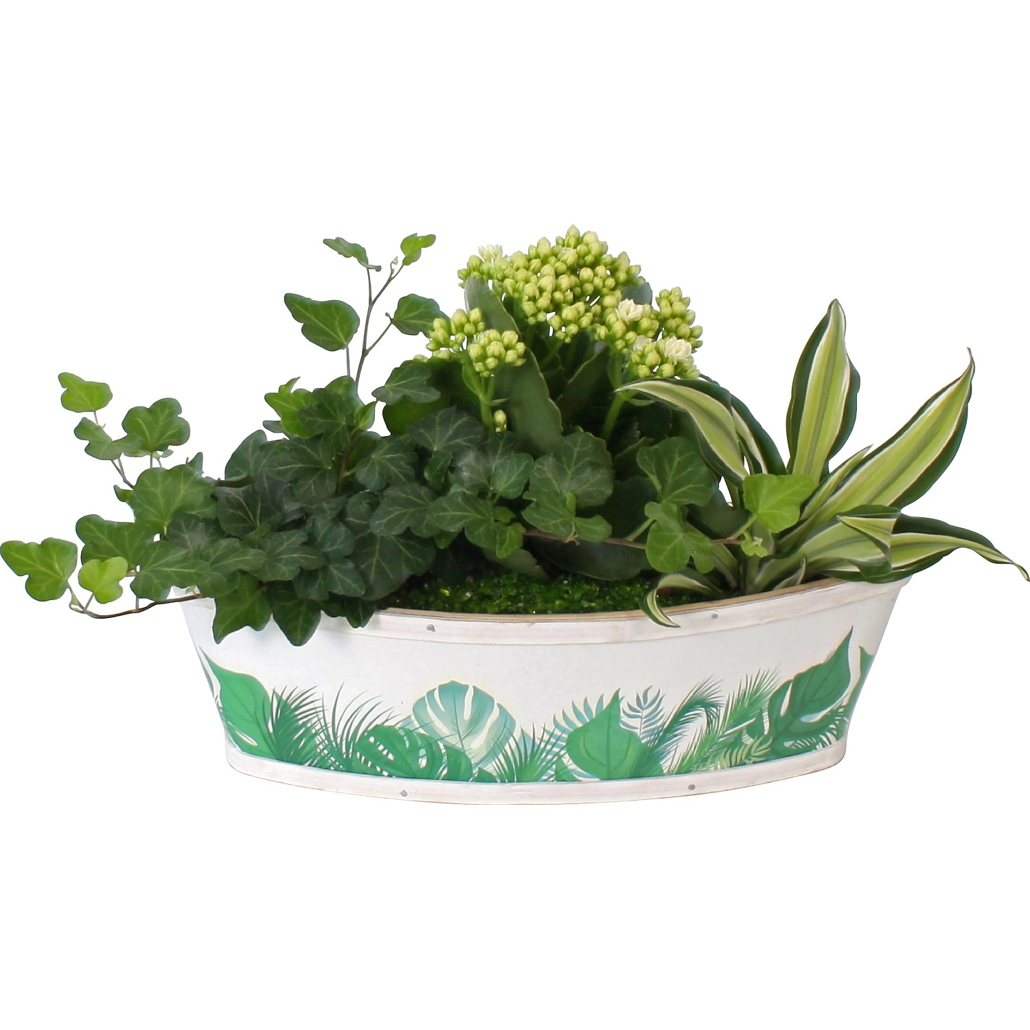 Pflanzen-Arrangement im Bambus-Boot Topf- ca. 29 cm kaufen bei OBI