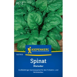 Kiepenkerl Spinat "Matador"