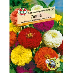 Samenpackung Sperli Zinnien Dahlienblütige Mischung mit mehrfarbigen Zinnienblüten.