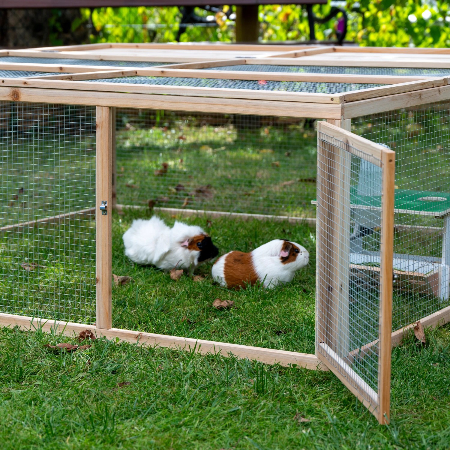 4-eckiges Freilaufgehege aus Holz mit zwei Meerschweinchen im Garten.